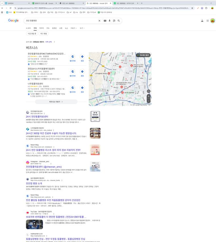 천안동물의료센터 — Google에서 «천안 동물병원» 검색 결과 캡처