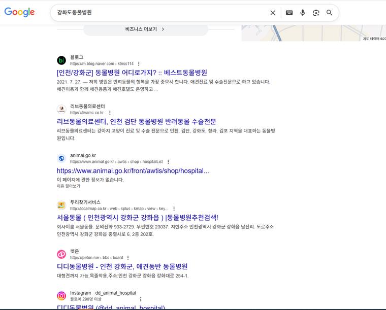 리브동물의료센터 — Google에서 «강화도동물병원» 검색 결과 캡처