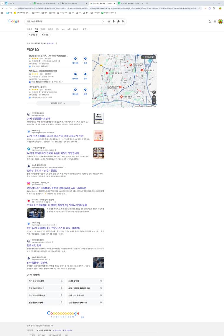 천안동물의료센터 — Google에서 «천안 24시 동물병원» 검색 결과 캡처