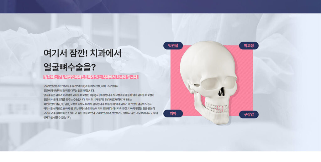 portfolio_sub_everm_img06