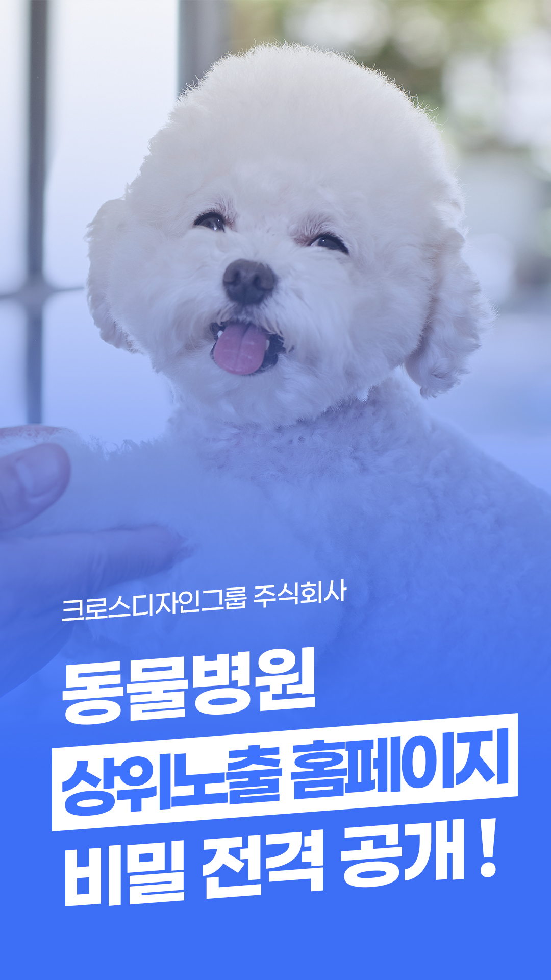 동물병원 상위노출 홈페이지 비밀 전격 공개!