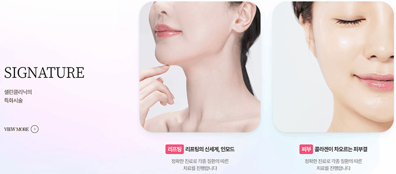 진료과목에 어울리는 디자인과 테마