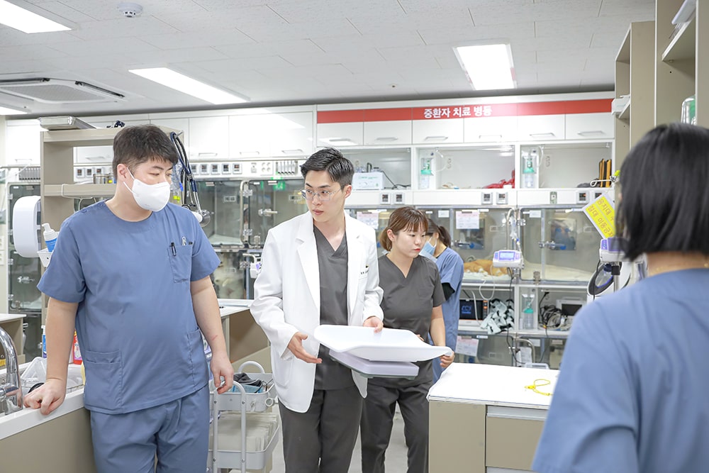 Produksi Fotografi Rumah Sakit Hewan Jeju 24 Jam Sum Animal Medical Center