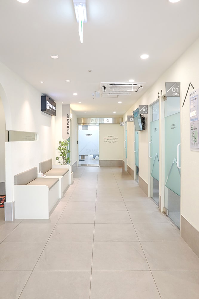 Produksi Fotografi Rumah Sakit Hewan Jeju 24 Jam Sum Animal Medical Center