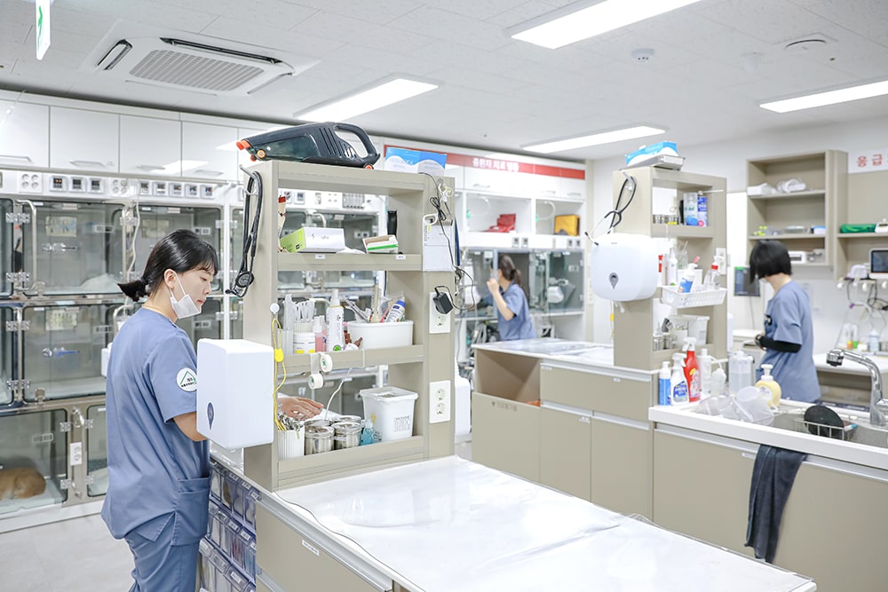 Produksi Fotografi Rumah Sakit Hewan Jeju 24 Jam Sum Animal Medical Center