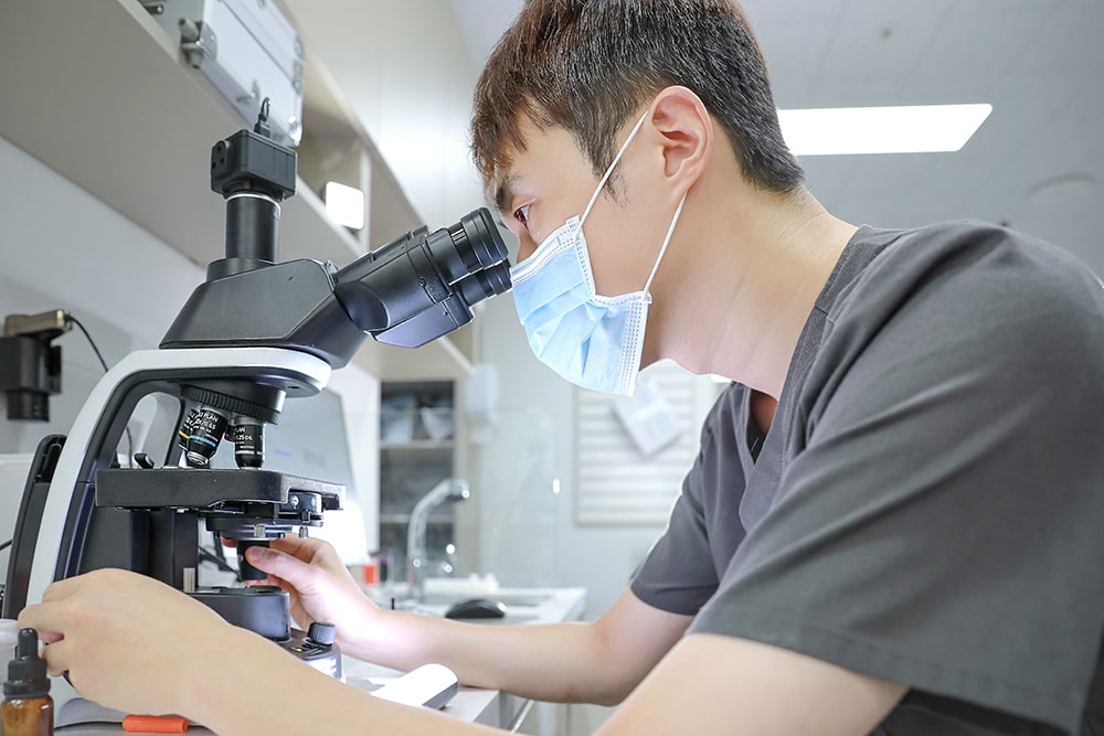 Produksi Fotografi Rumah Sakit Hewan Jeju 24 Jam Sum Animal Medical Center