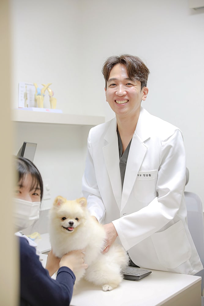 Produksi Fotografi Rumah Sakit Hewan Jeju 24 Jam Sum Animal Medical Center