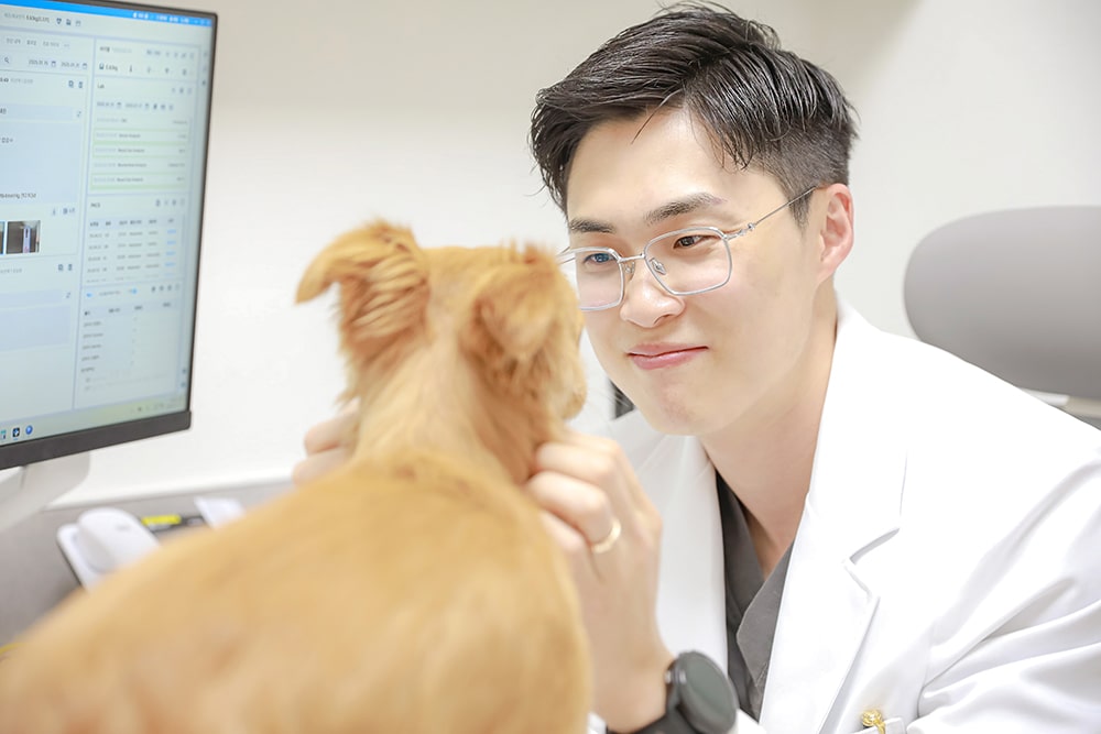 Produksi Fotografi Rumah Sakit Hewan Jeju 24 Jam Sum Animal Medical Center