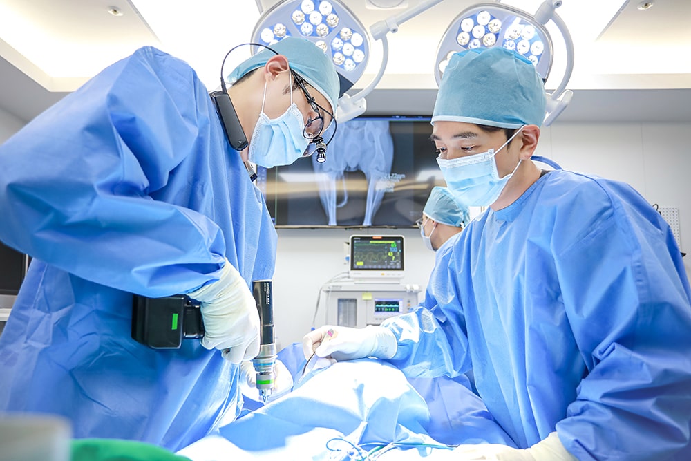 Produksi Fotografi Rumah Sakit Hewan Jeju 24 Jam Sum Animal Medical Center