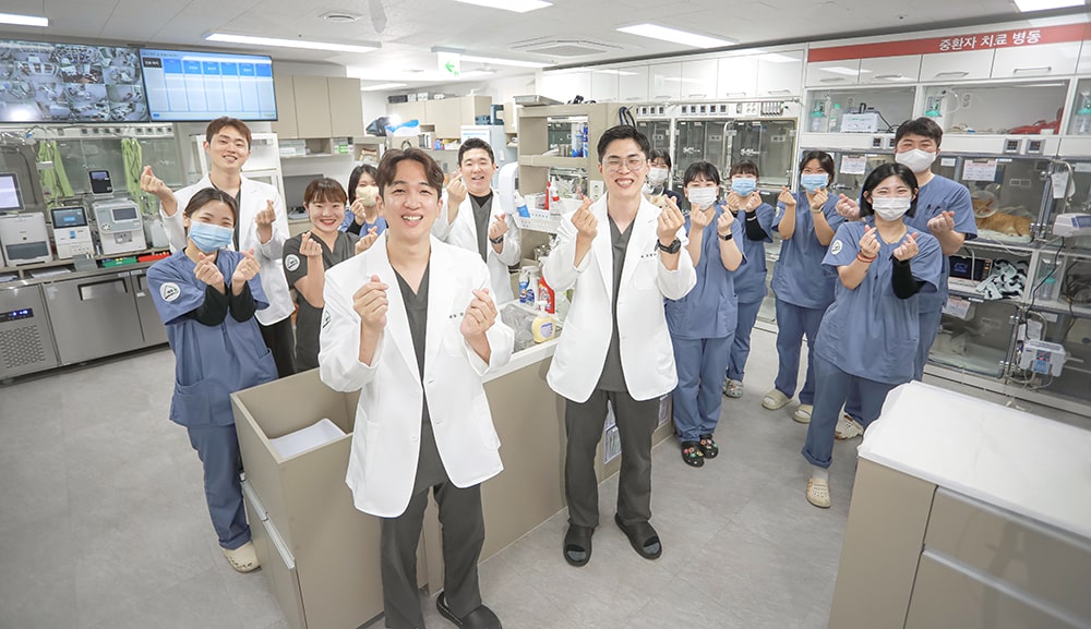 Produksi Fotografi Rumah Sakit Hewan Jeju 24 Jam Sum Animal Medical Center