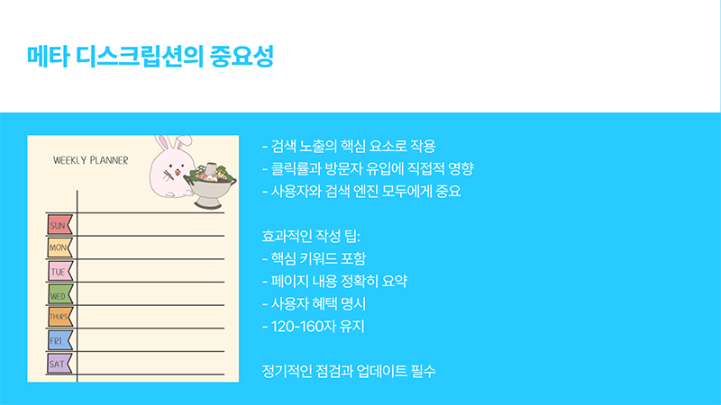 메타 디스크립션