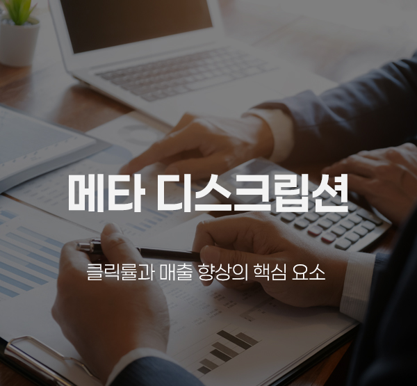 메타 디스크립션