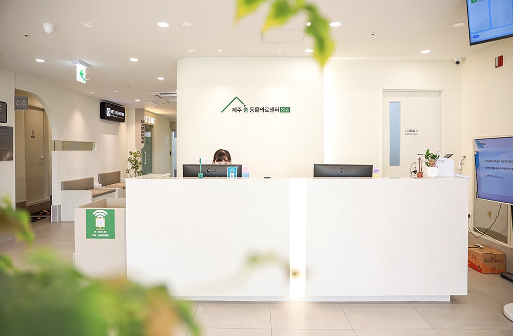 제주24시숨동물의료센터 동물병원 사진 촬영 제작