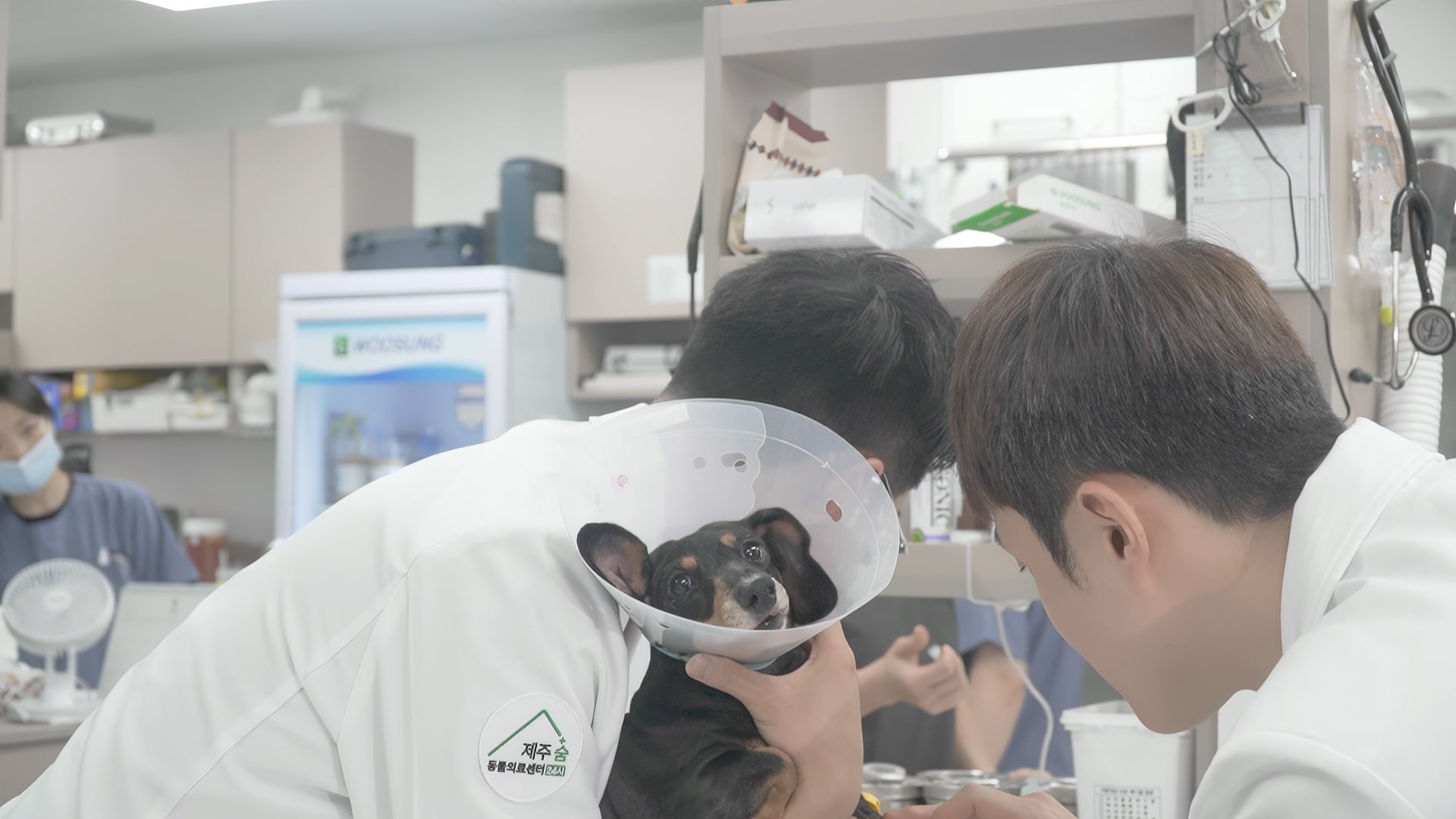 제주24시숨동물의료센터 동물병원 영상 촬영 제작