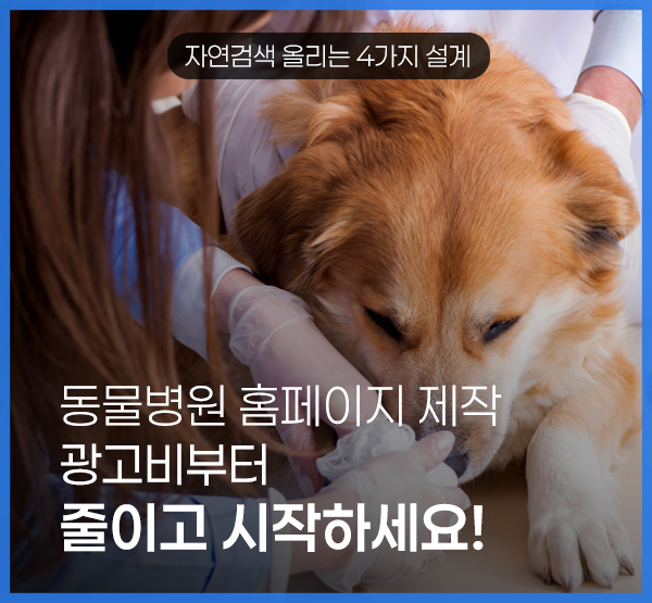 동물병원 홈페이지 제작, 광고비 부담을 줄이려면 자연검색 구조부터 만들어야 합니다