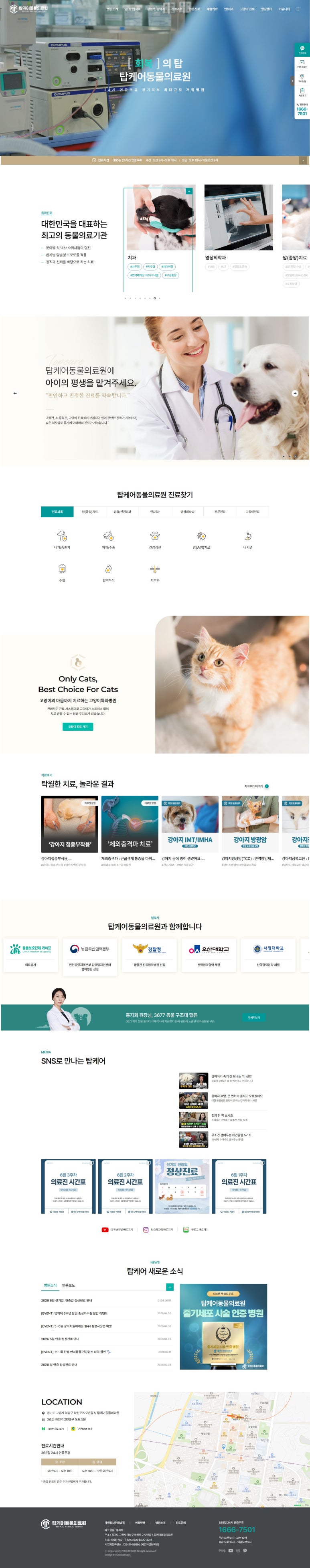 동물병원 홈페이지 SEO 메타 태그 설계 사례
